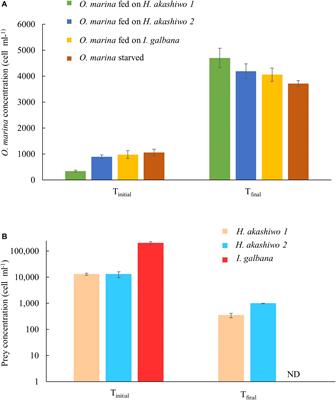 Transcriptomic Response to Feeding and Starvation in a Herbivorous Dinoflagellate